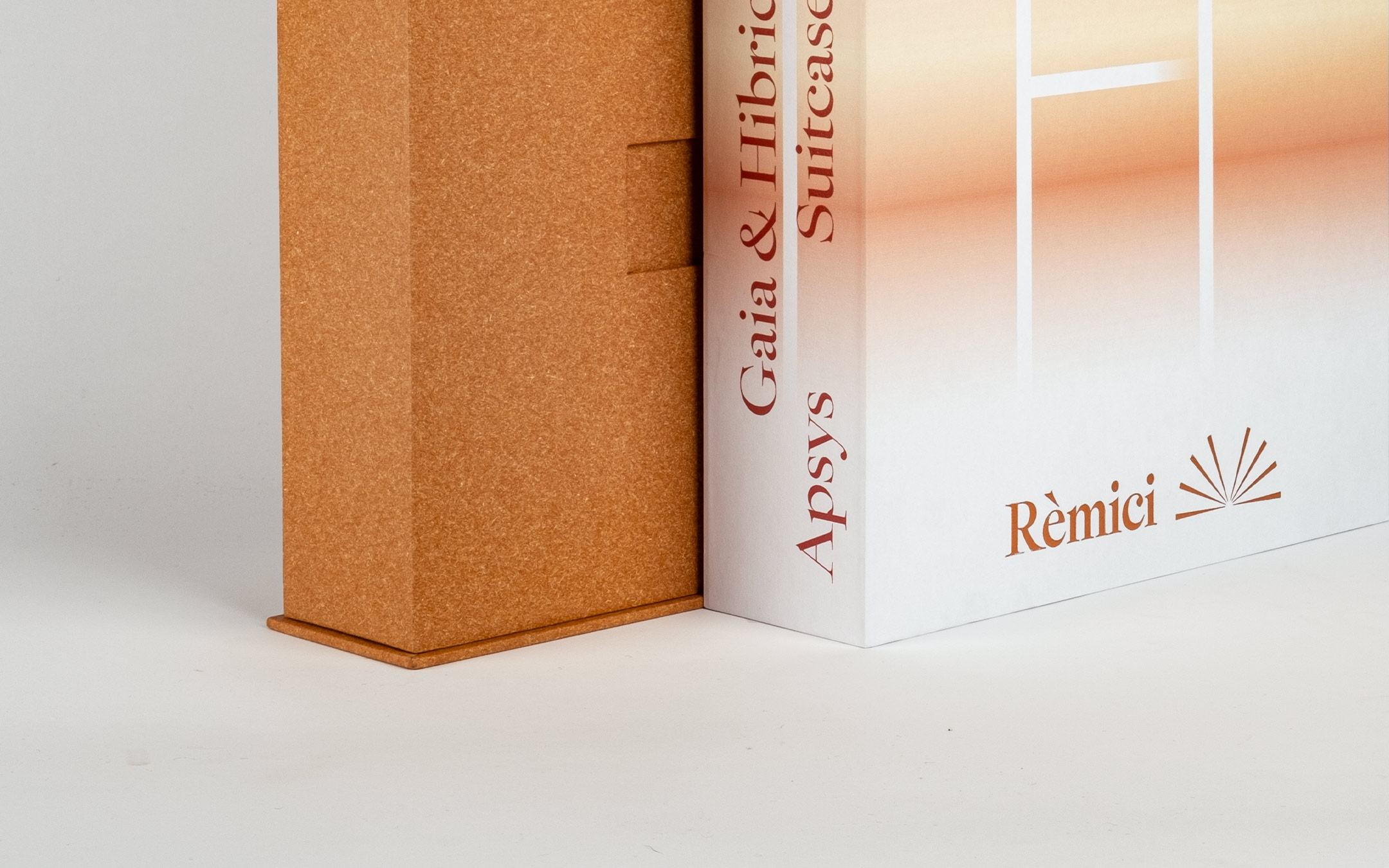 Archibox GR20 design graphique signaletique paris branding graphic fashion food drinks culture luxury architecture